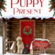 The Puppy Present by Kelsey Browning cover